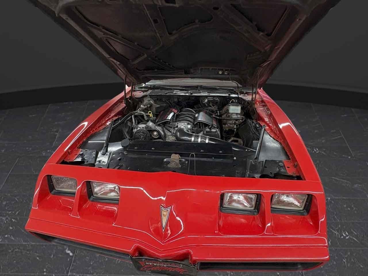 1981 Pontiac Firebird Trans Am LS Conversion thumbnail 3