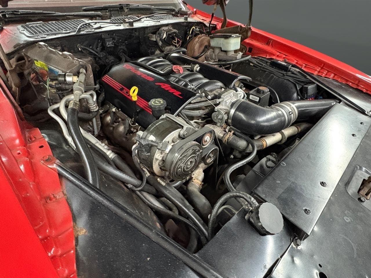 1981 Pontiac Firebird Trans Am LS Conversion thumbnail 5