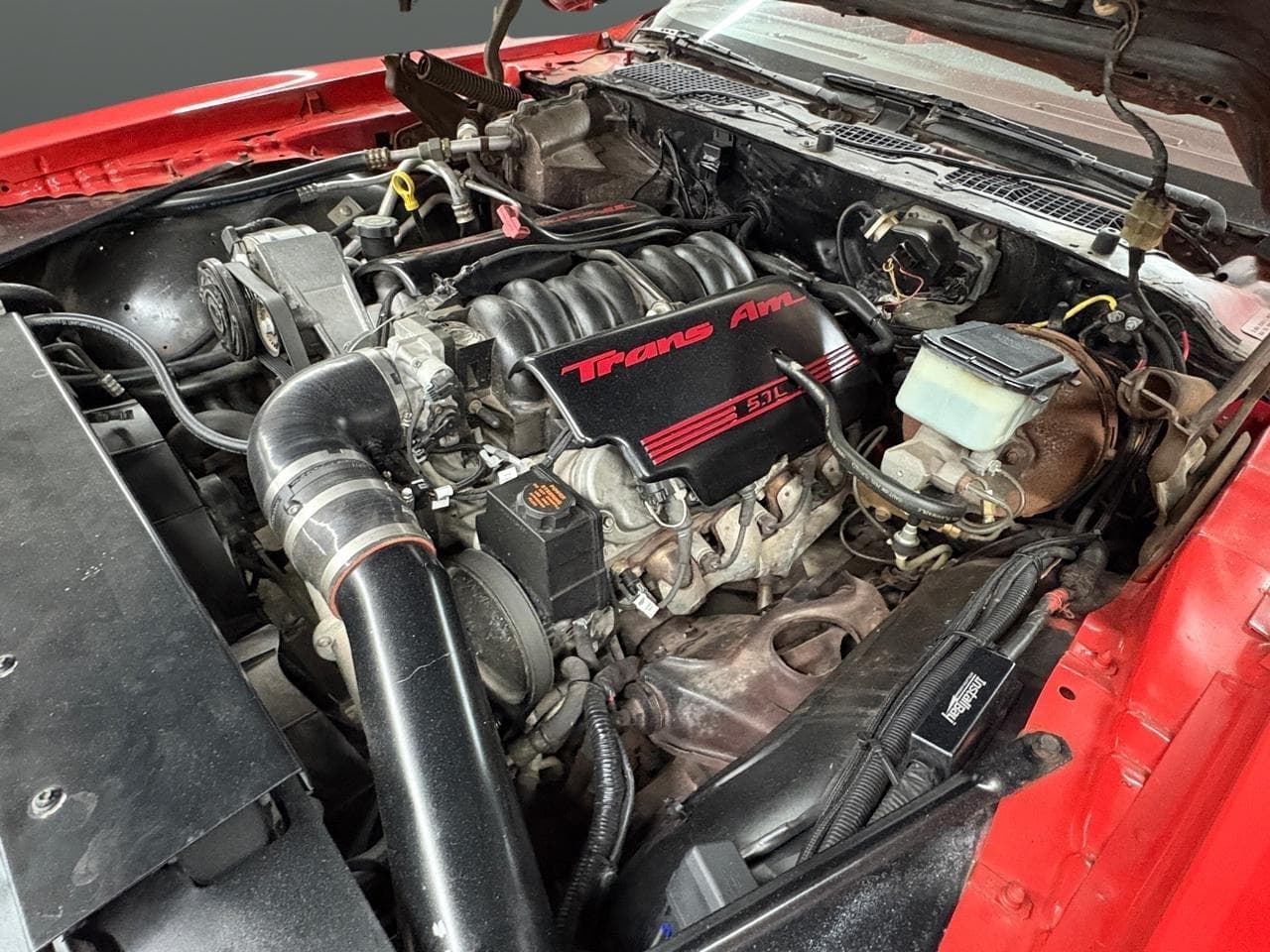1981 Pontiac Firebird Trans Am LS Conversion thumbnail 6