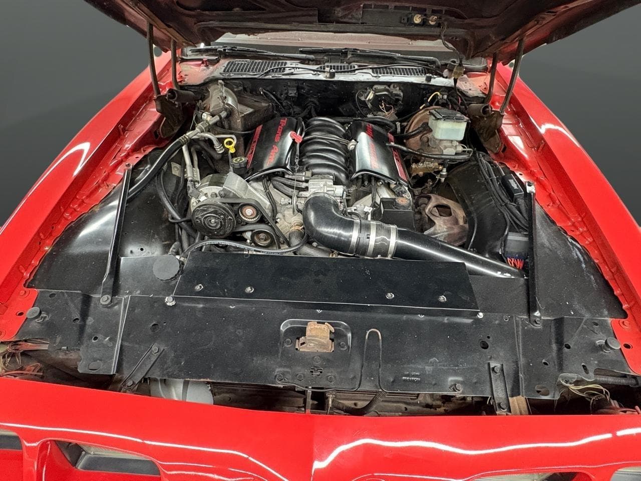 1981 Pontiac Firebird Trans Am LS Conversion thumbnail 7
