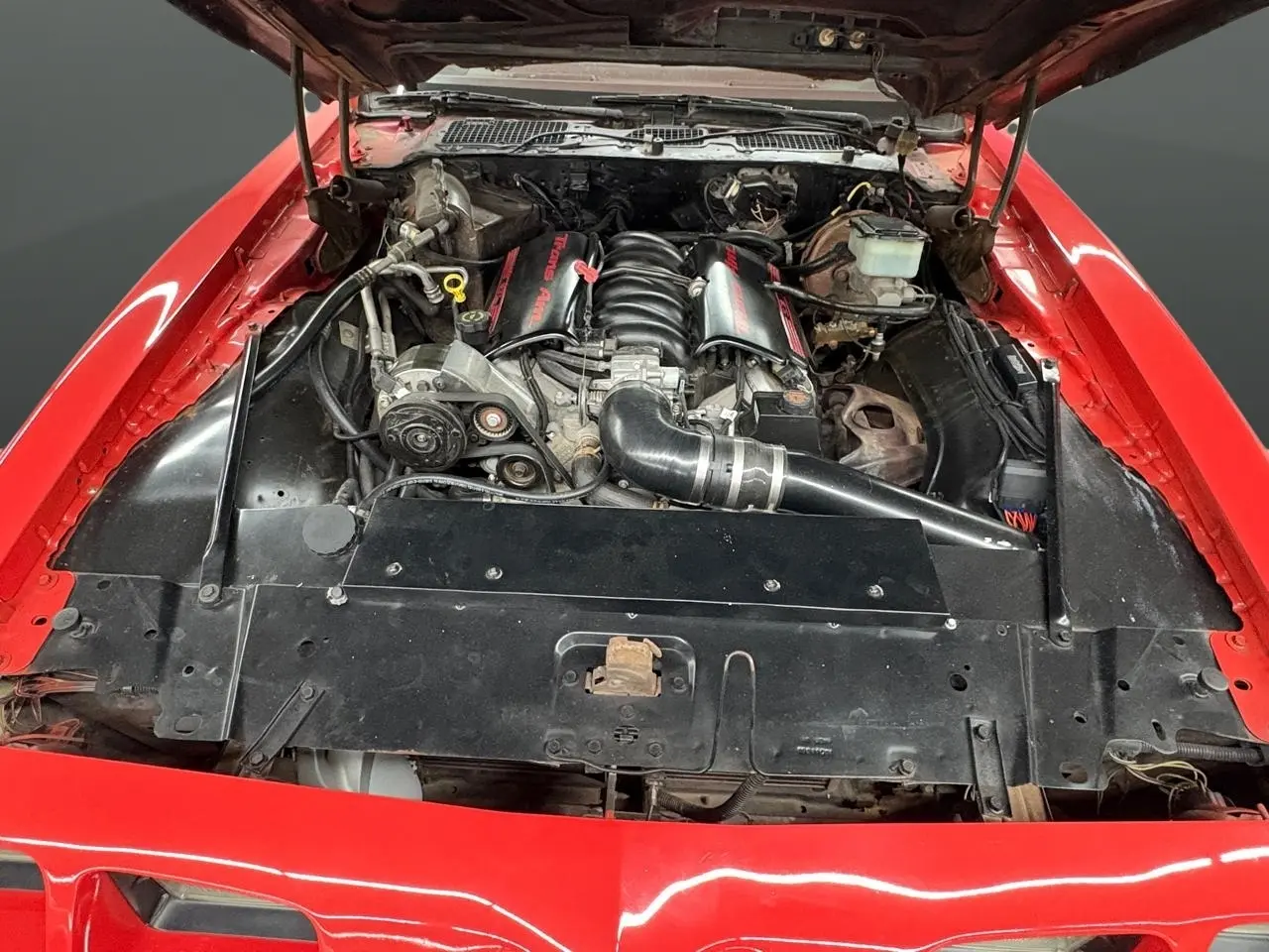 1981 Pontiac Firebird Trans Am LS Conversion thumbnail 7