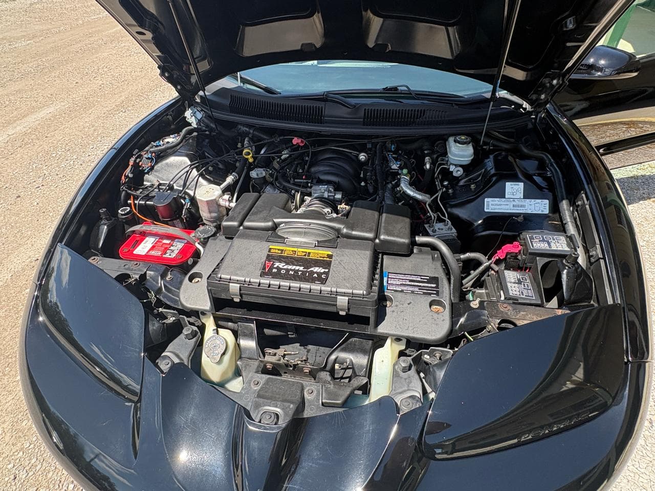 2001 Pontiac Firebird Trans Am WS6 thumbnail 15