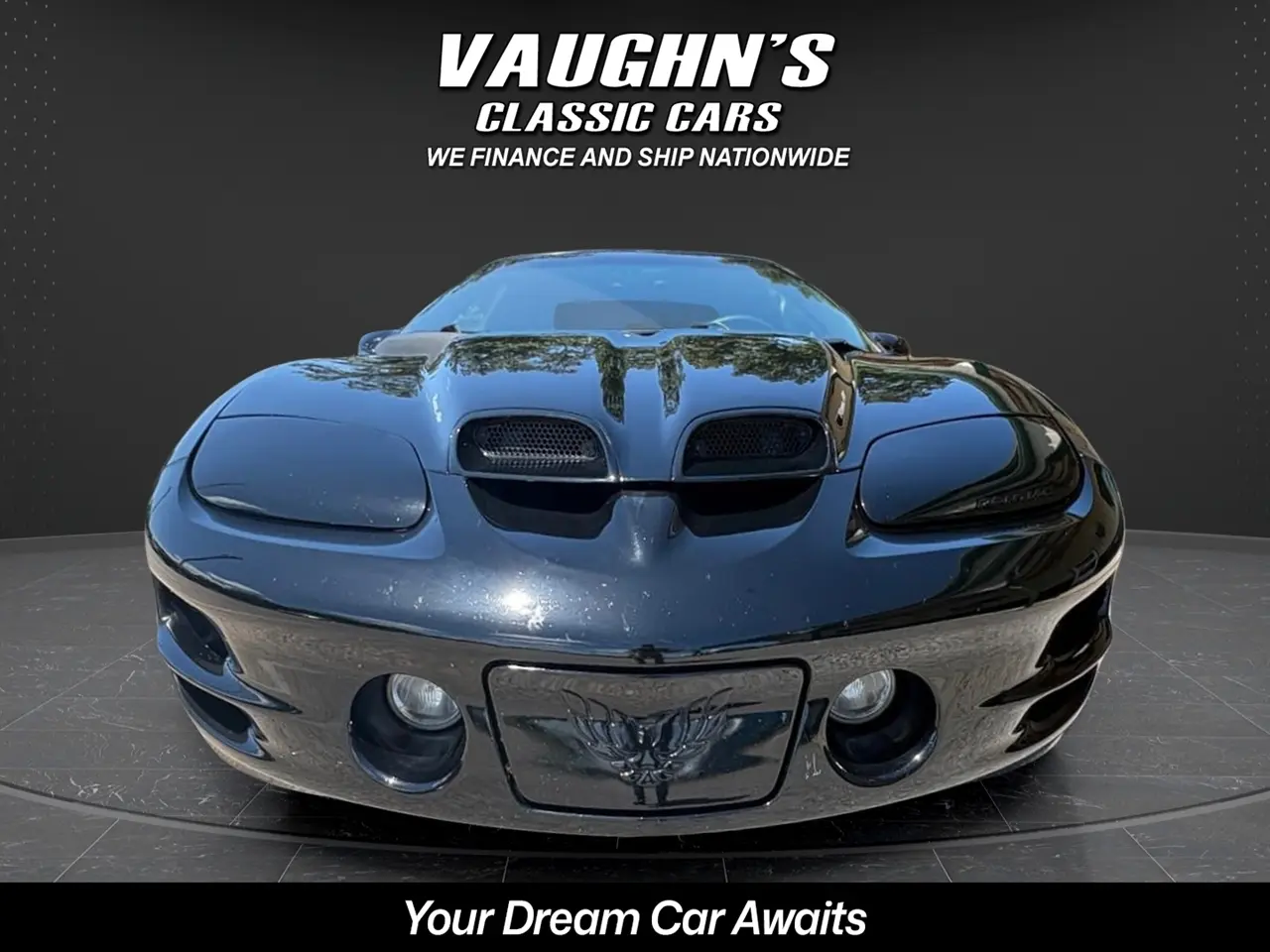 2001 Pontiac Firebird Trans Am WS6 thumbnail 8
