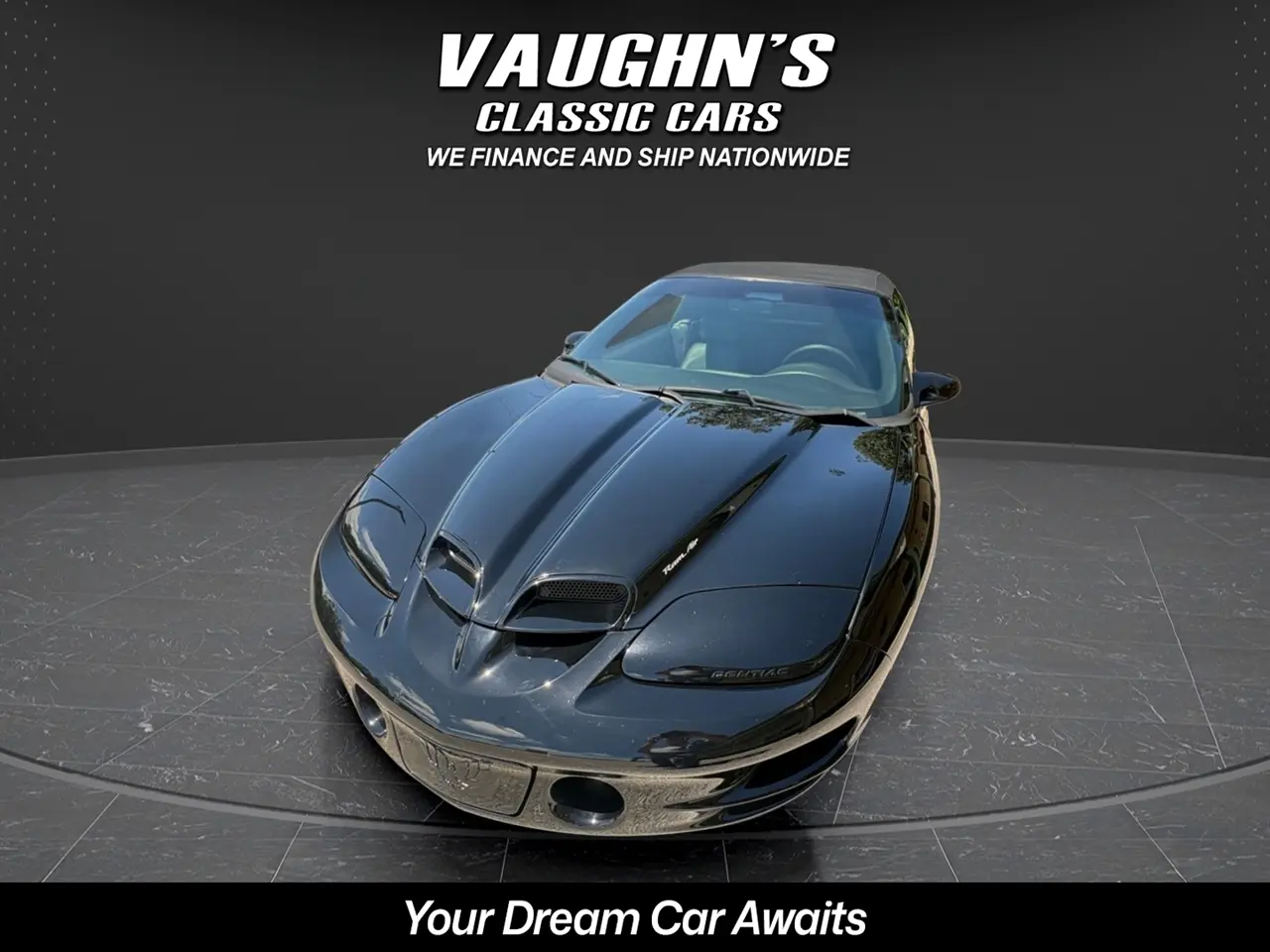 2001 Pontiac Firebird Trans Am WS6 thumbnail 10