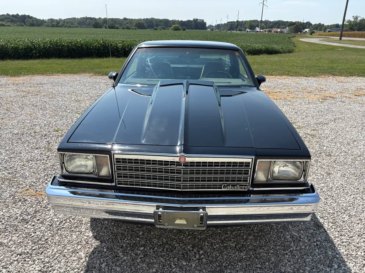 1979 GMC Caballero 2dr Pickup thumbnail 9