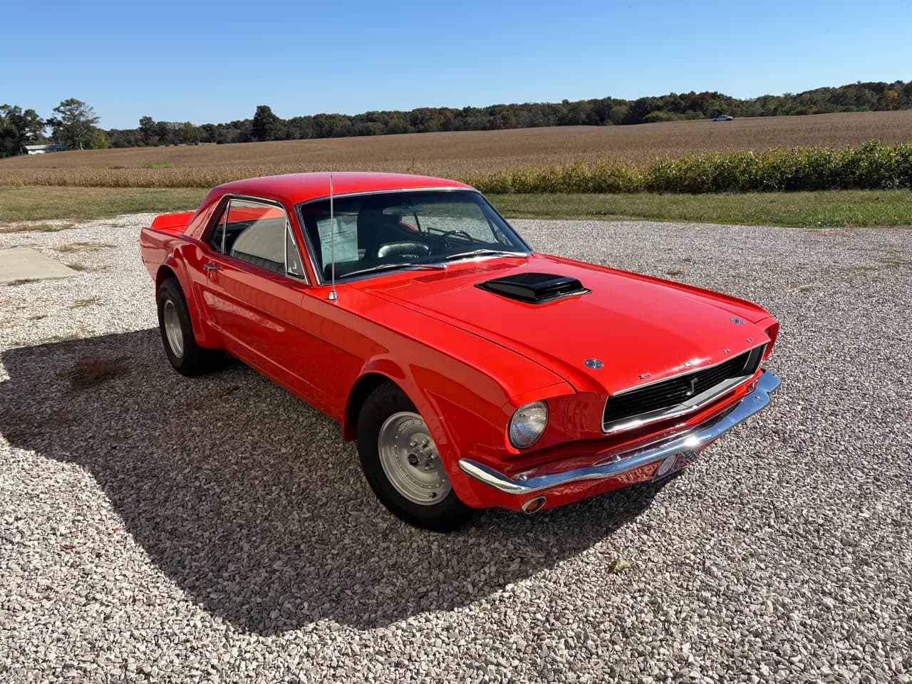 1966 Ford Mustang 2dr Coupe thumbnail 3