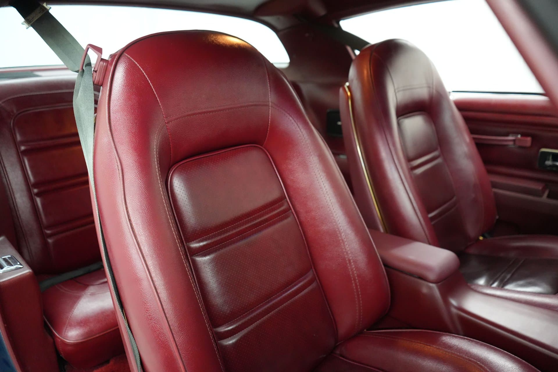 1975 Pontiac Trans Am thumbnail 17
