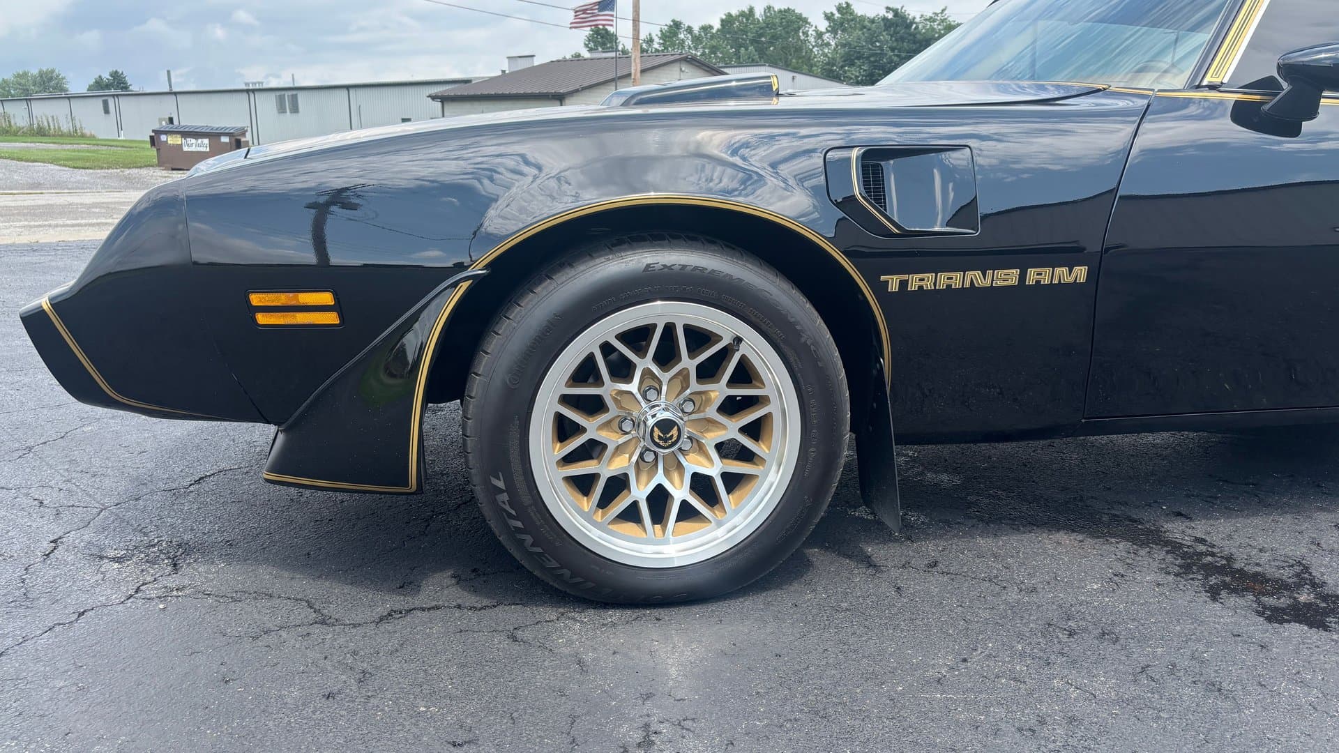1979 Pontiac Trans Am thumbnail 15
