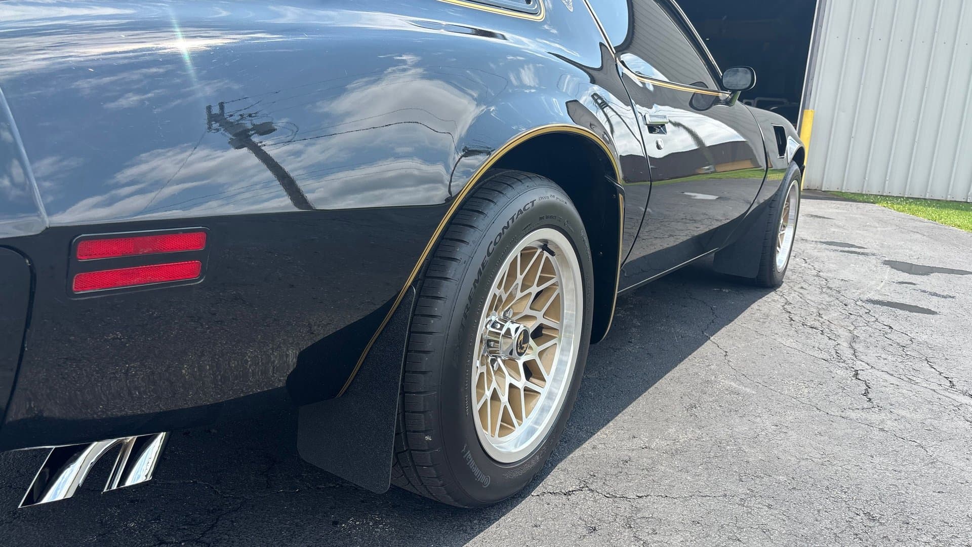1979 Pontiac Trans Am thumbnail 18