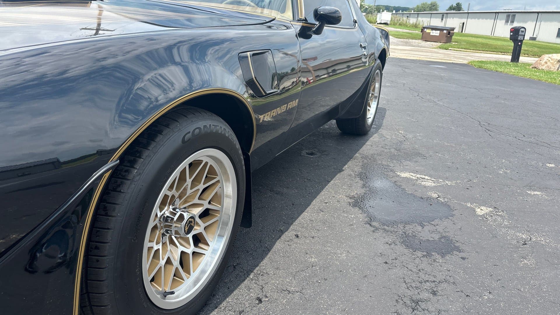 1979 Pontiac Trans Am thumbnail 14