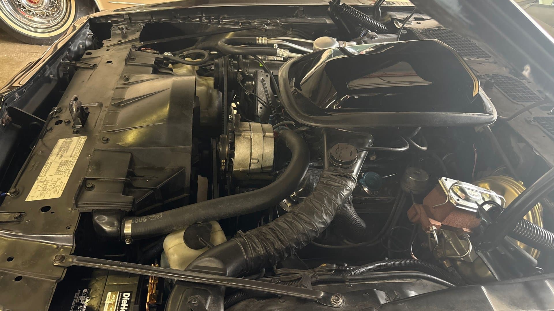 1979 Pontiac Trans Am thumbnail 23