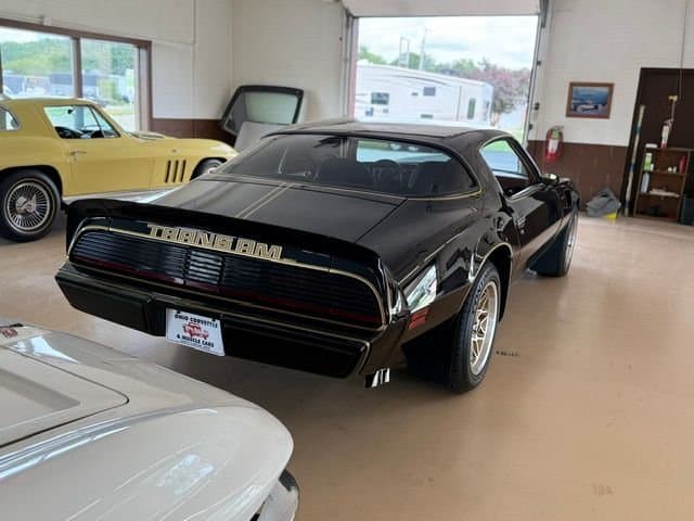 1979 Pontiac Trans Am thumbnail 5