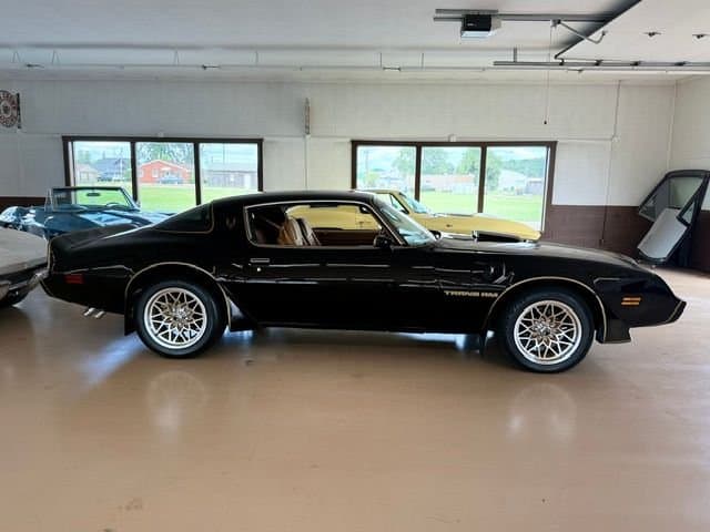 1979 Pontiac Trans Am thumbnail 3