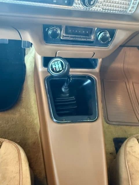 1979 Pontiac Trans Am thumbnail 8