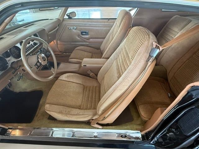 1979 Pontiac Trans Am thumbnail 9