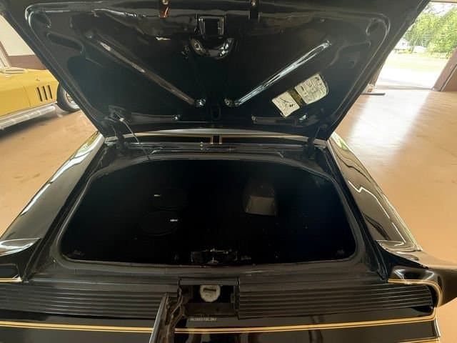 1979 Pontiac Trans Am thumbnail 12