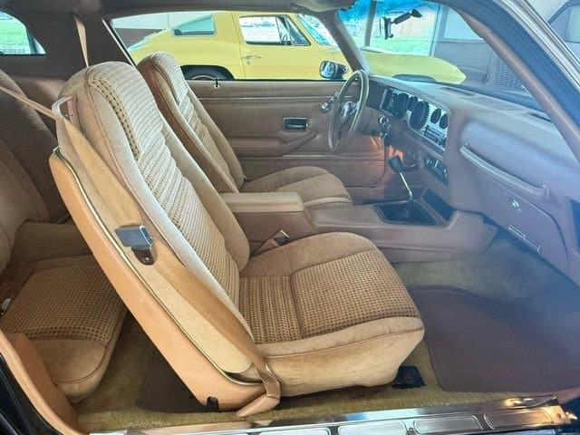 1979 Pontiac Trans Am thumbnail 10