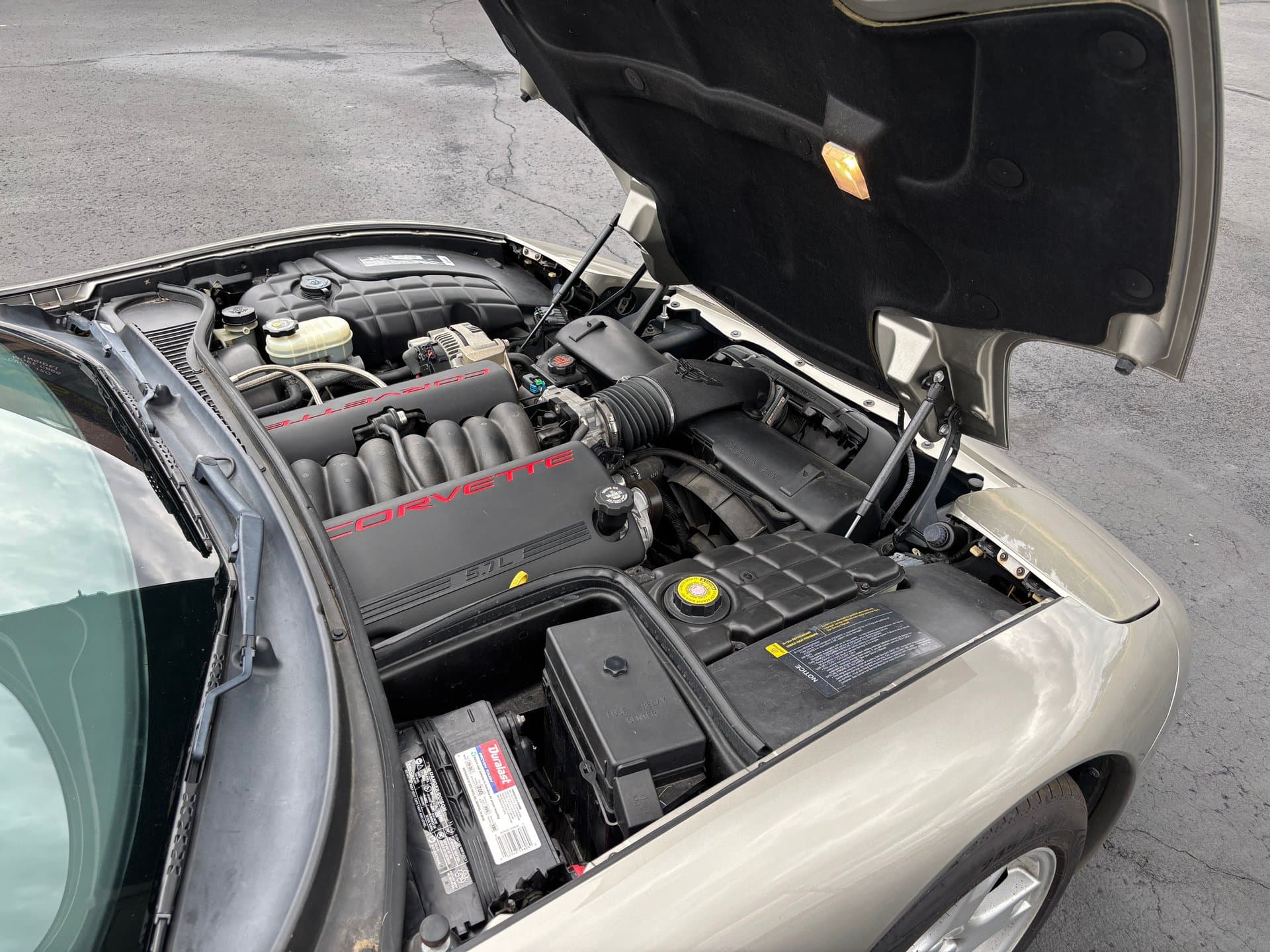 1998 Chevrolet Corvette thumbnail 13