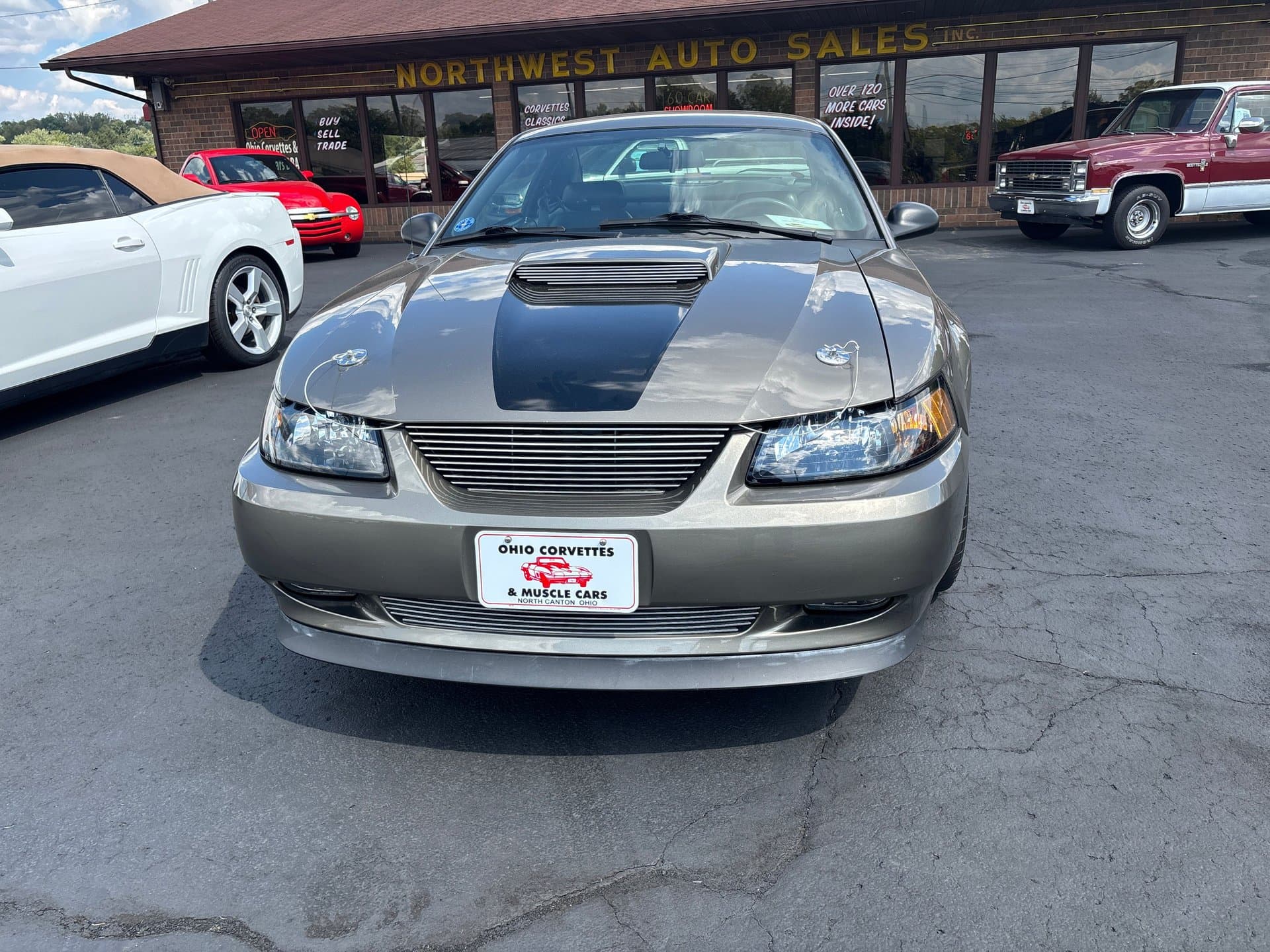 2001 Ford Mustang GT thumbnail 4