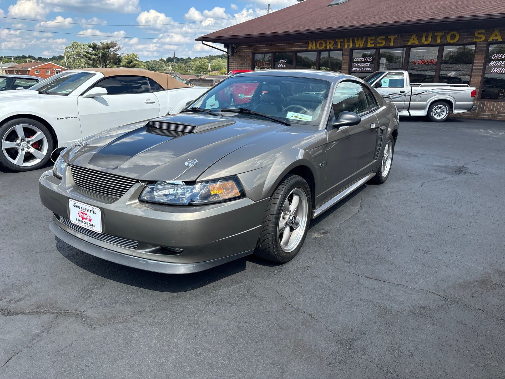 2001 Ford Mustang GT thumbnail 10