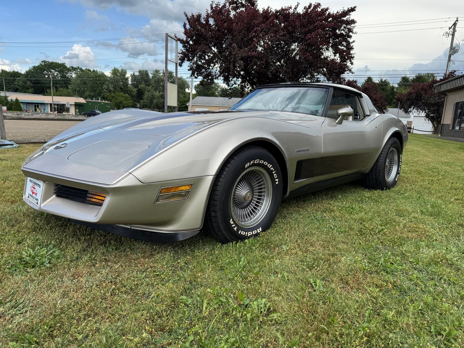 1982 Chevrolet Corvette thumbnail 10