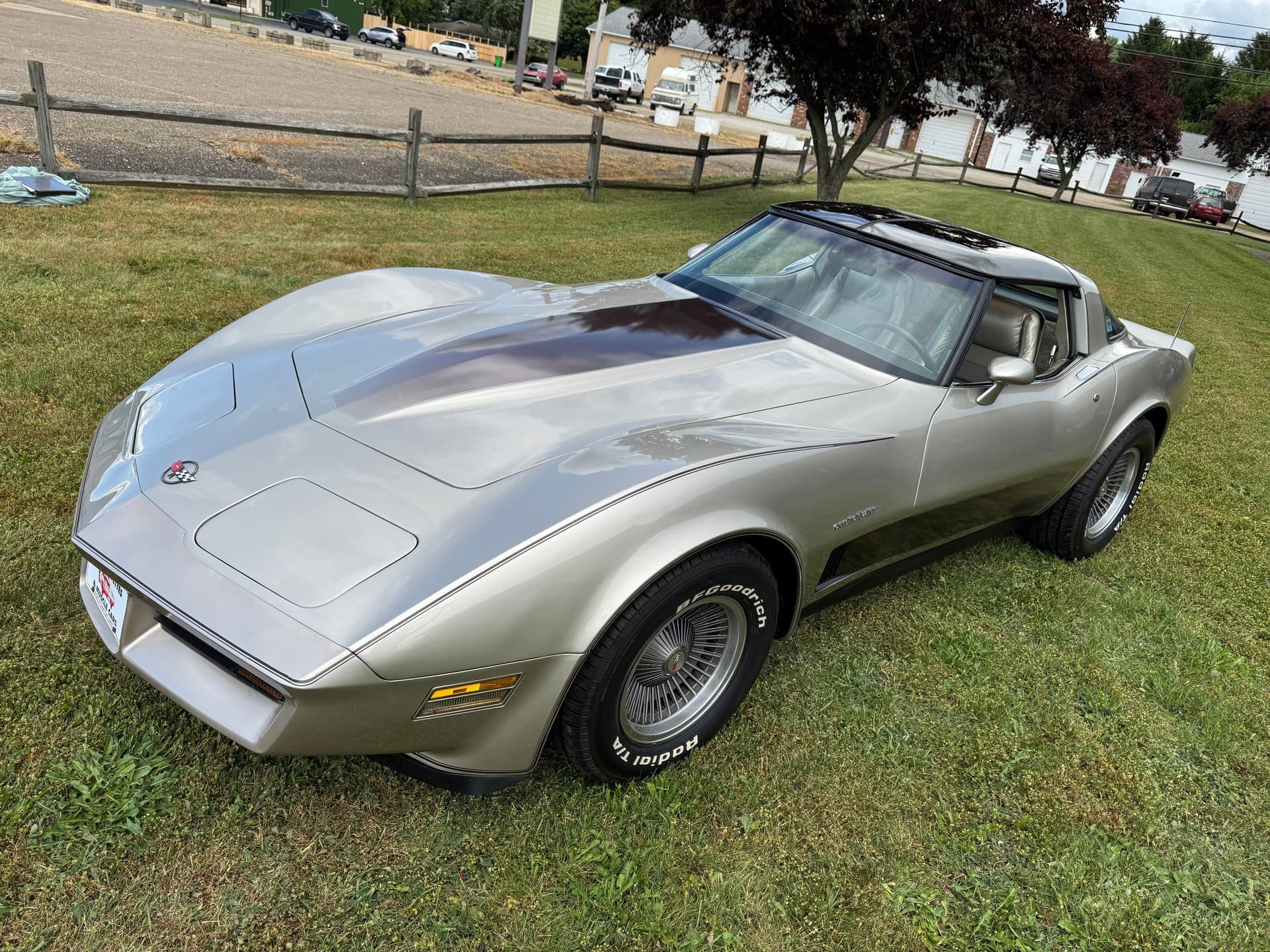 1982 Chevrolet Corvette thumbnail 9