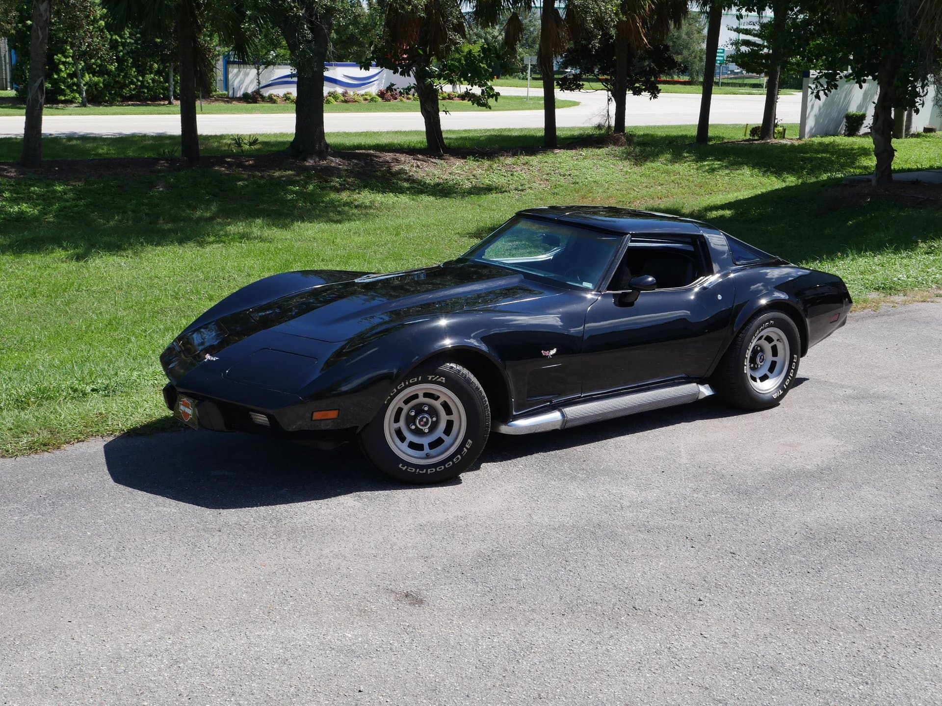 1979 Chevrolet Corvette Coupe thumbnail 4