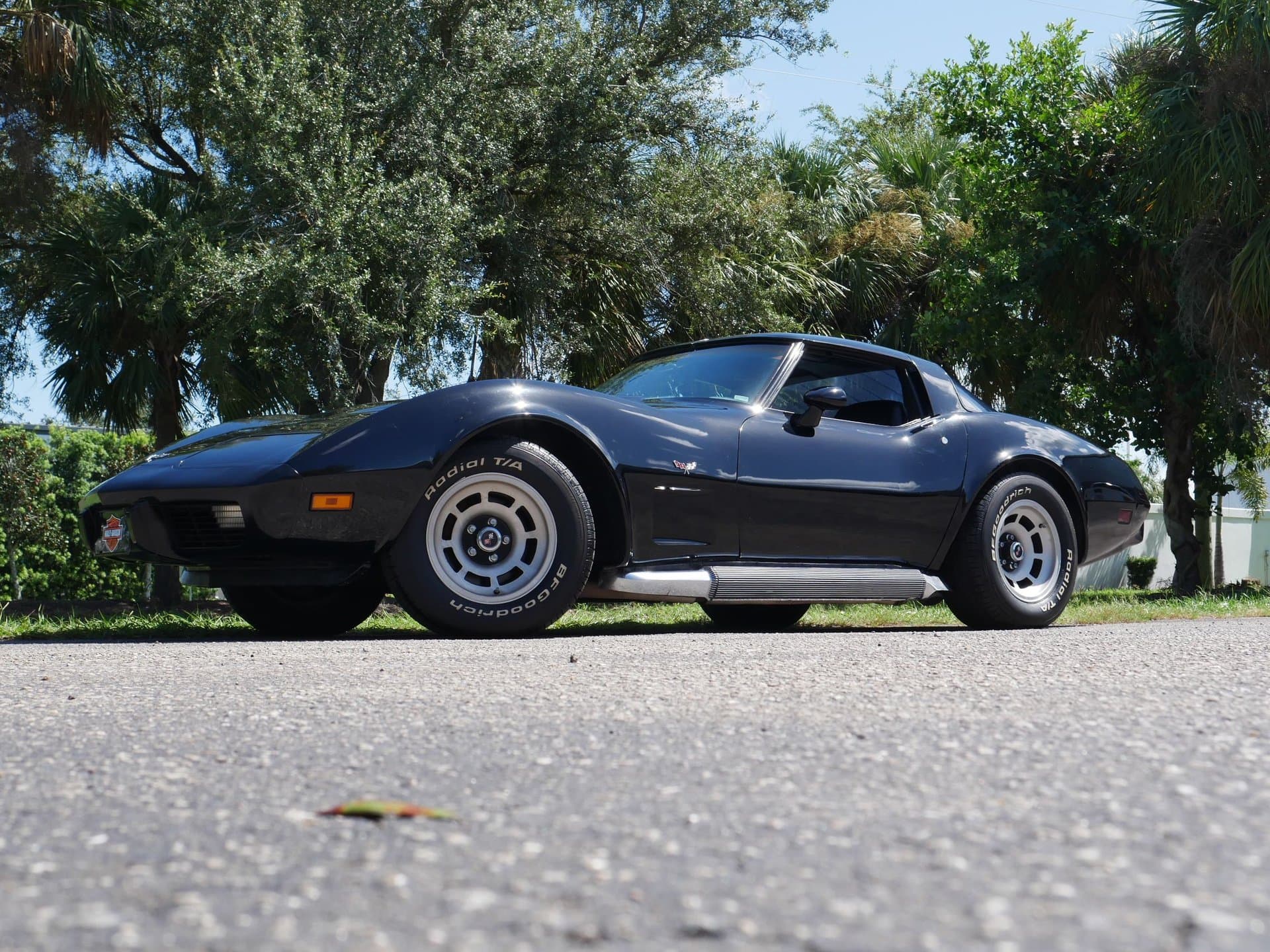 1979 Chevrolet Corvette Coupe thumbnail 3