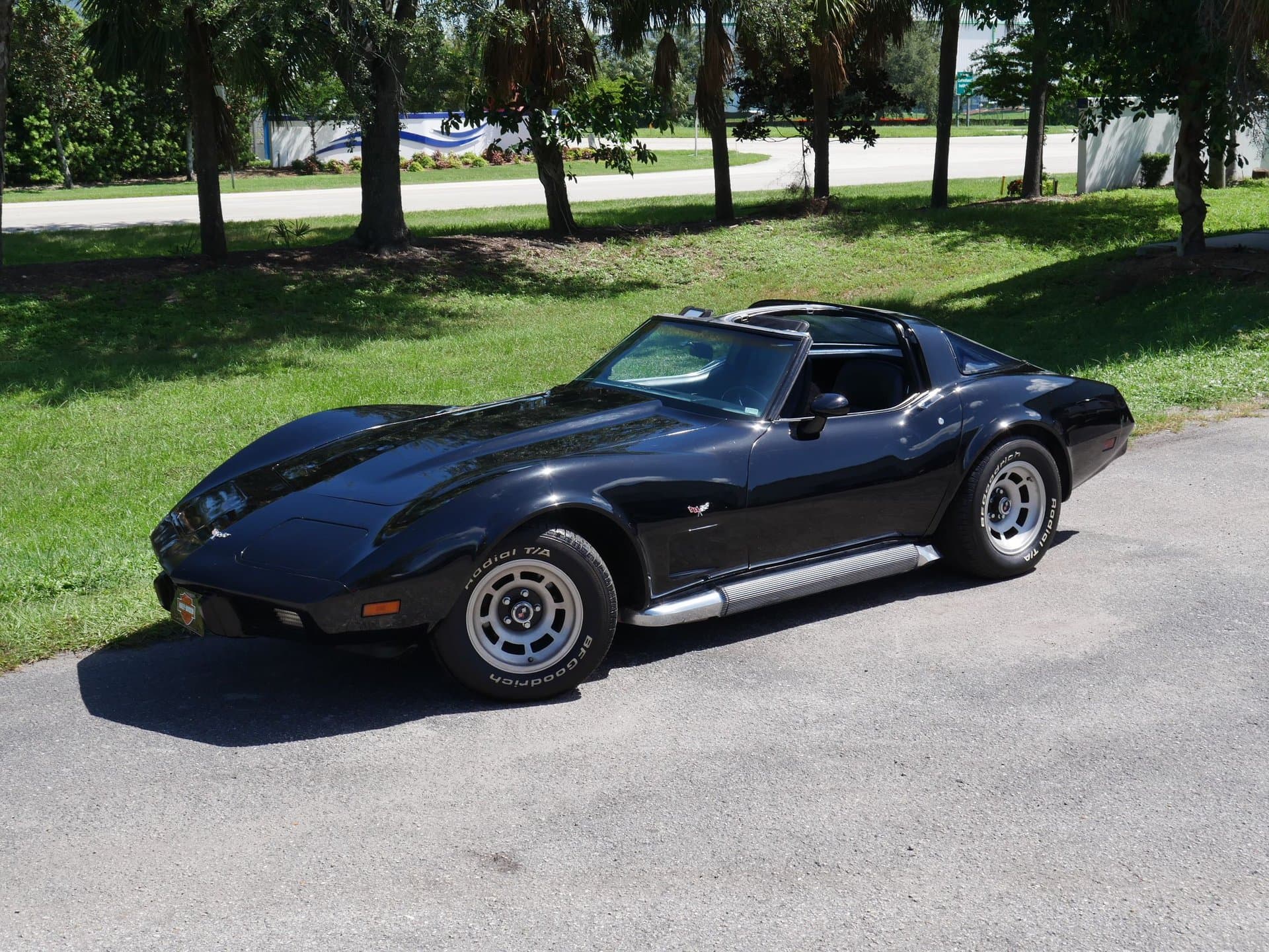 1979 Chevrolet Corvette Coupe thumbnail 5