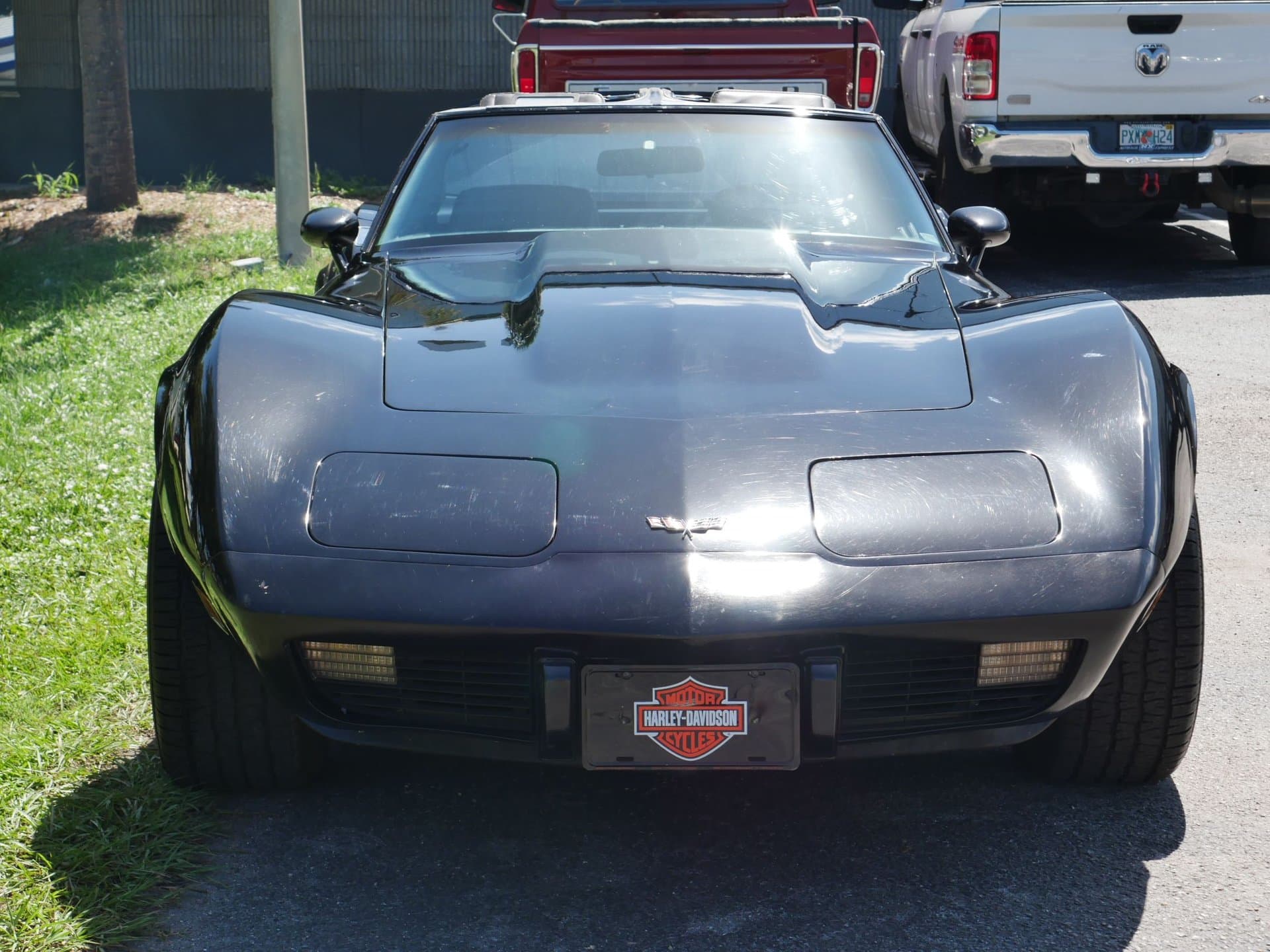 1979 Chevrolet Corvette Coupe thumbnail 8