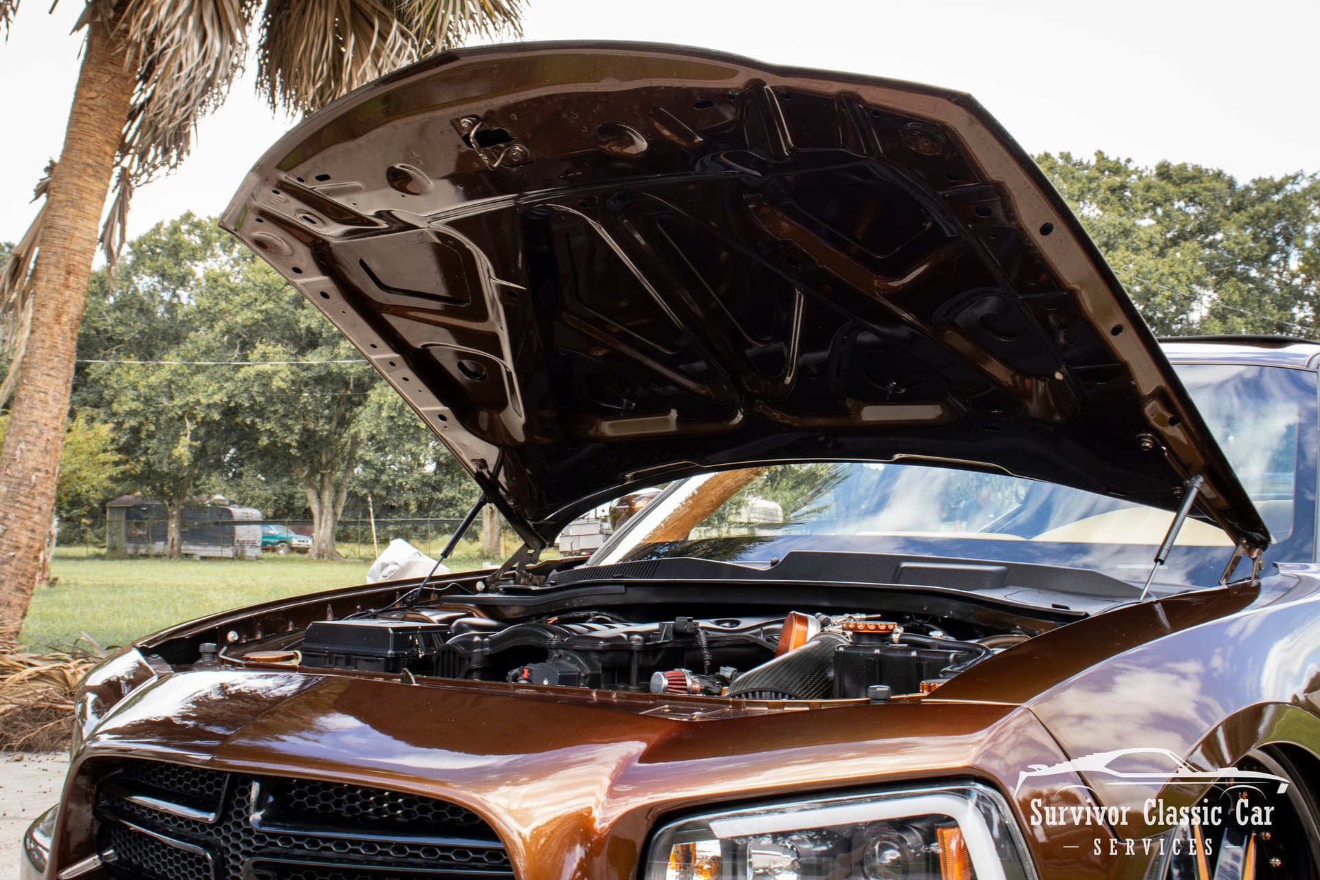 2010 Dodge Charger SXT thumbnail 13