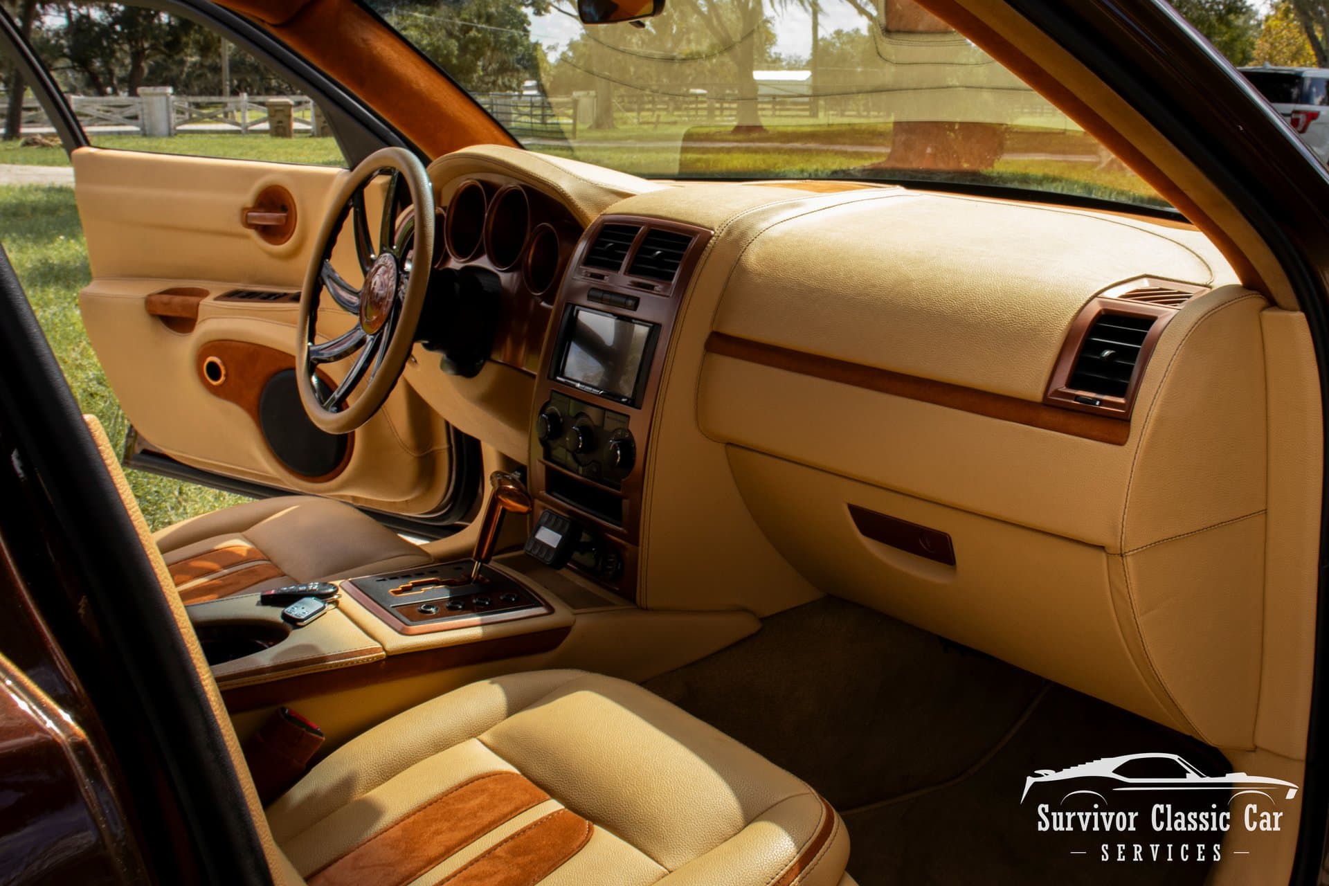 2010 Dodge Charger SXT thumbnail 18