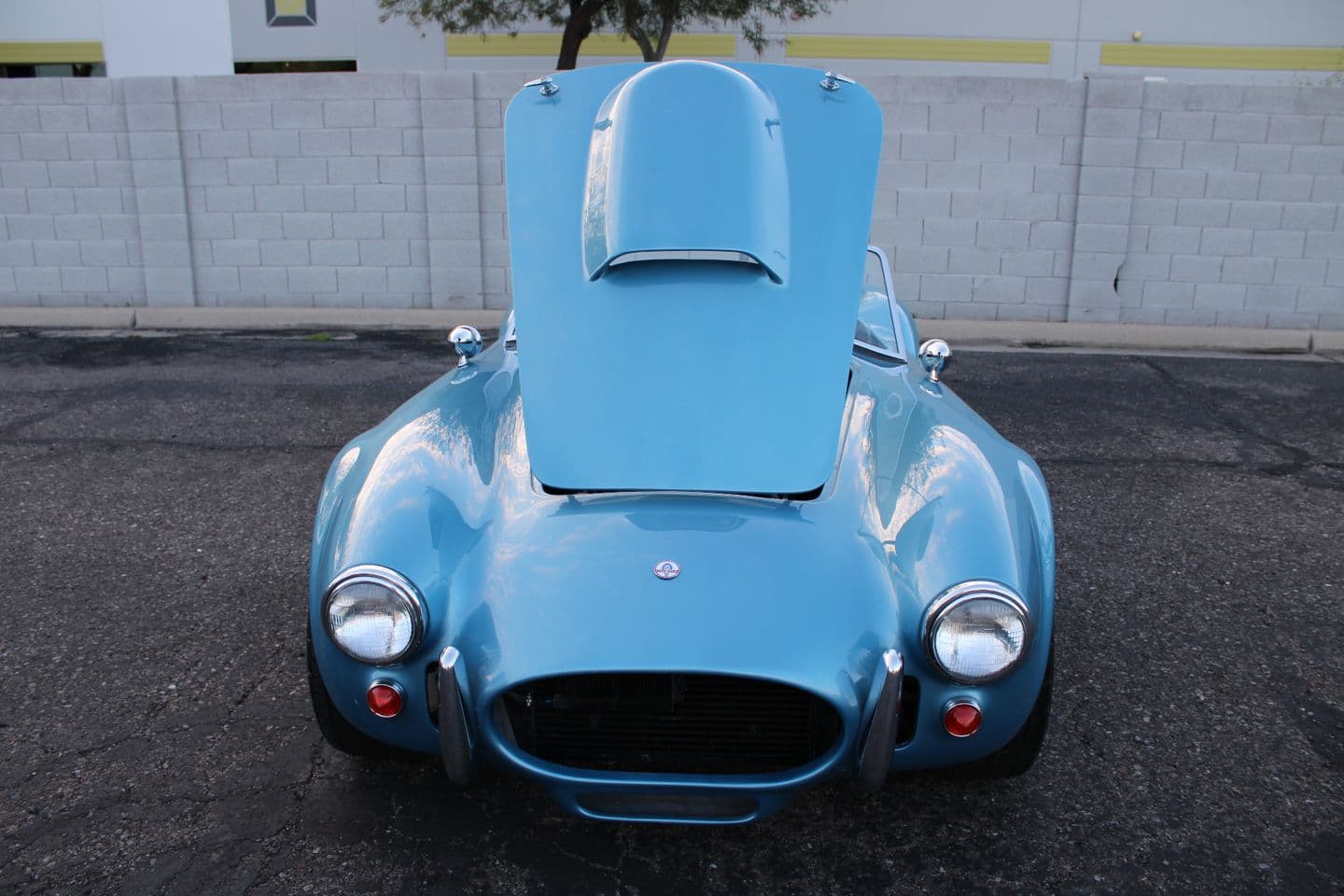 1965 Ford Cobra Replica thumbnail 8