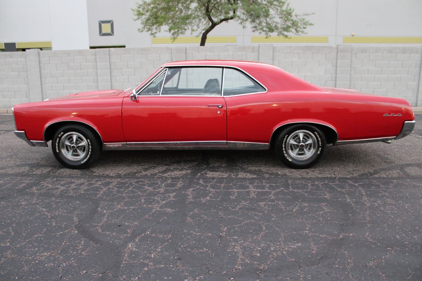 1967 Pontiac GTO thumbnail 5