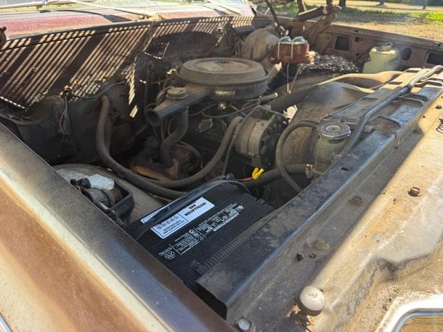 1978 Chevrolet C20 Cheyenne thumbnail 19