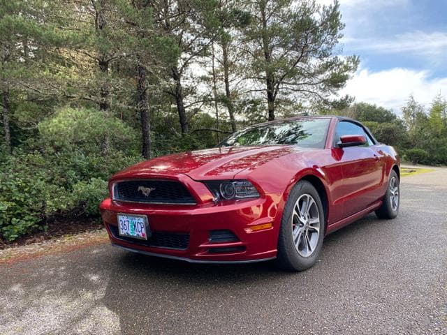 2014 Ford Mustang Premium — photo 1