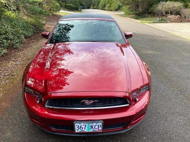 2014 Ford Mustang Premium thumbnail 13