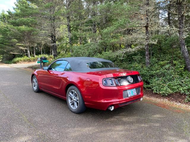 2014 Ford Mustang Premium thumbnail 3