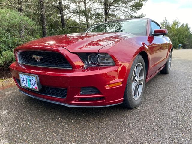 2014 Ford Mustang Premium thumbnail 14