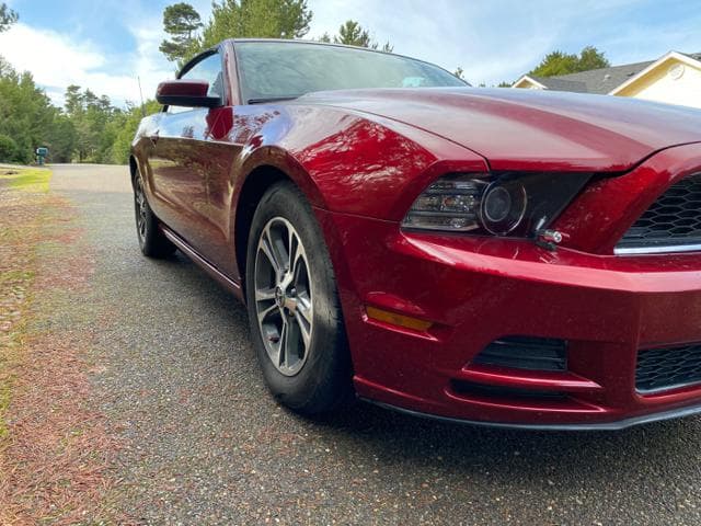 2014 Ford Mustang Premium thumbnail 11