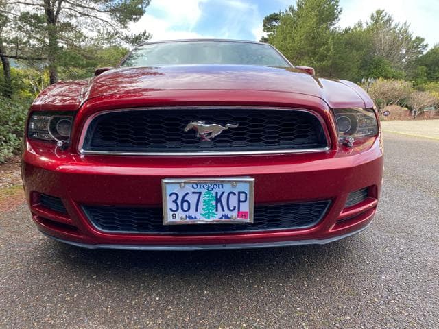 2014 Ford Mustang Premium thumbnail 12