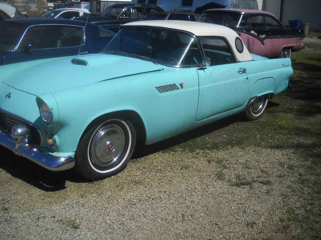 1955 Ford Thunderbird thumbnail 3