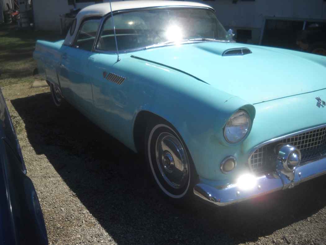 1955 Ford Thunderbird thumbnail 5