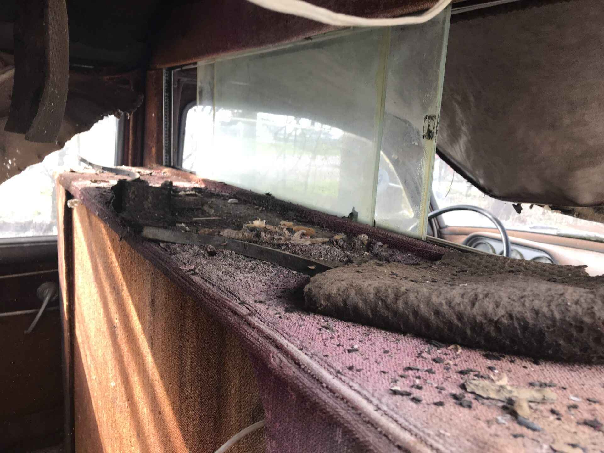 1952 Packard Hearse thumbnail 11