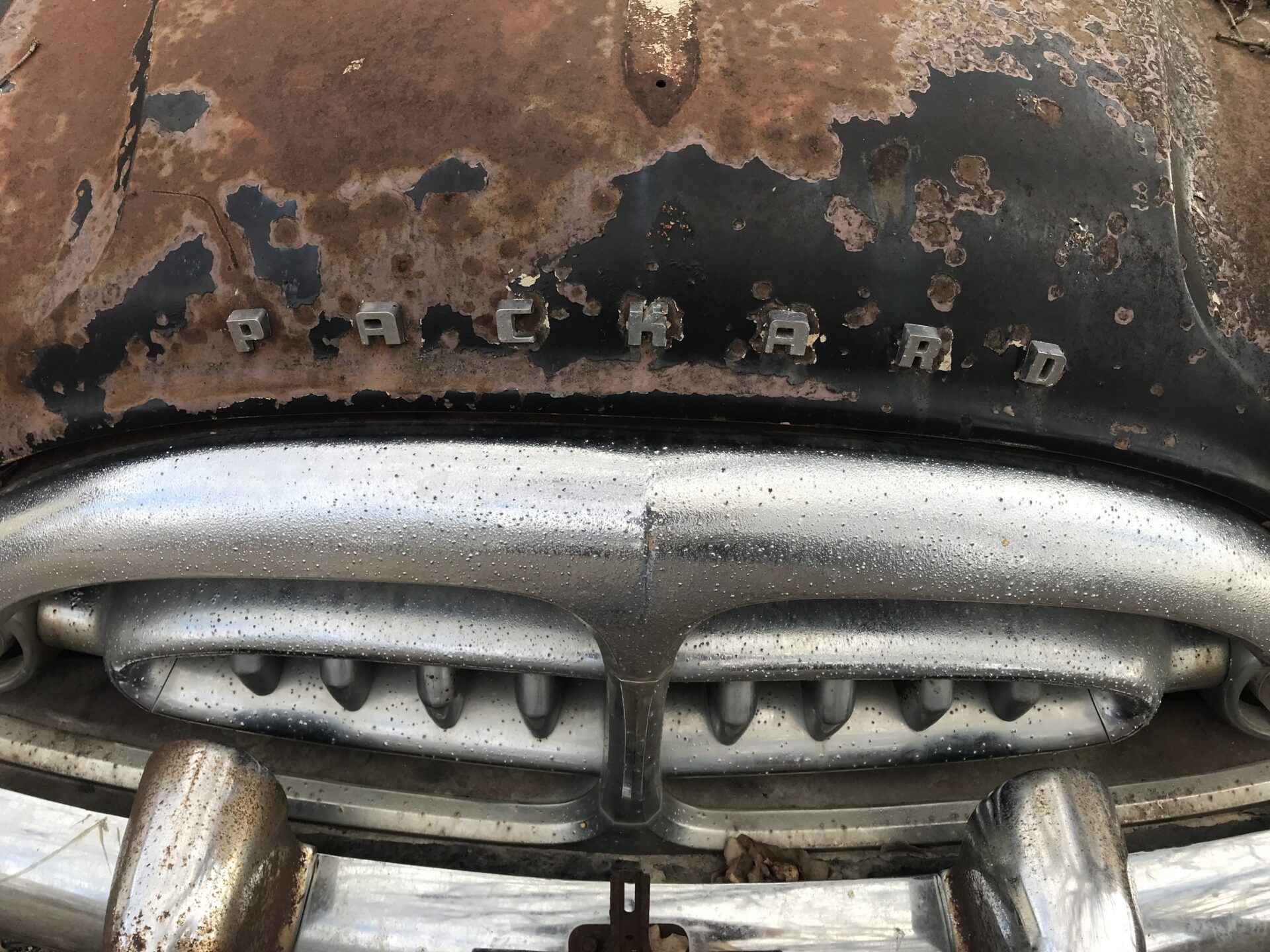 1952 Packard Hearse thumbnail 12