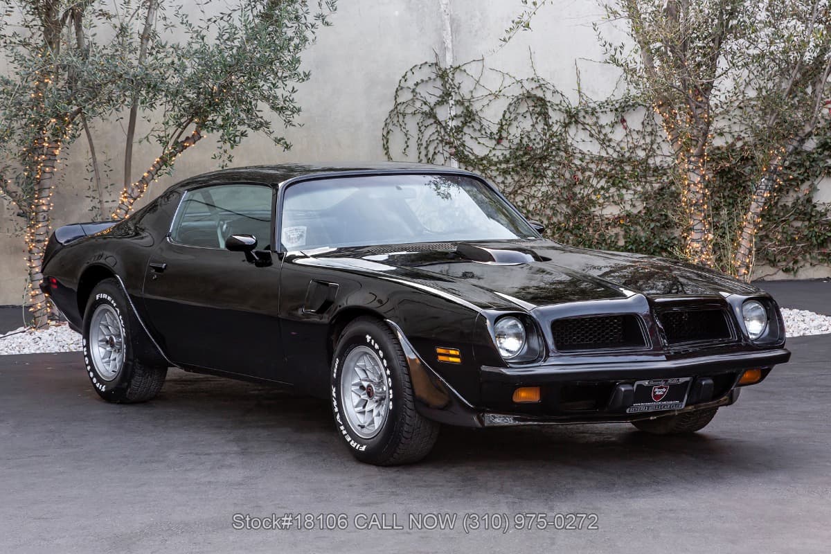 1974 Pontiac Firebird Trans Am — photo 1