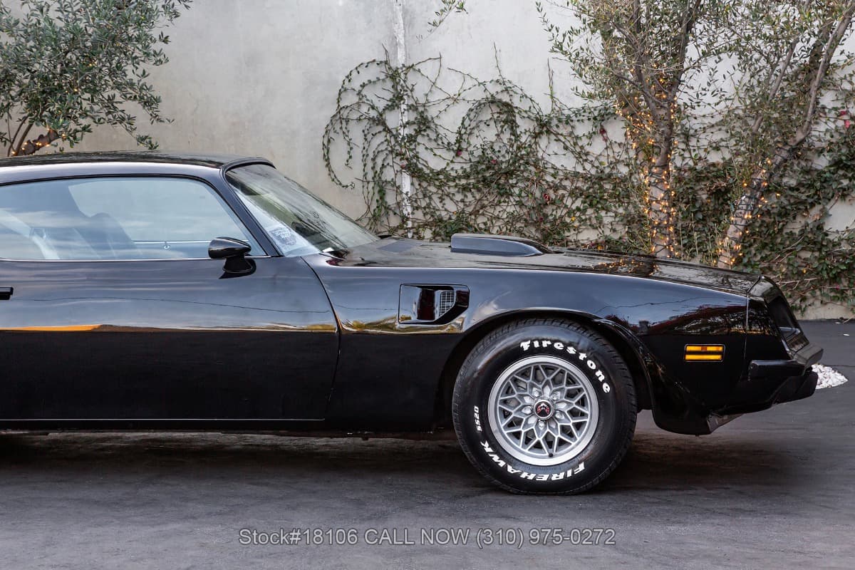 1974 Pontiac Firebird Trans Am thumbnail 9