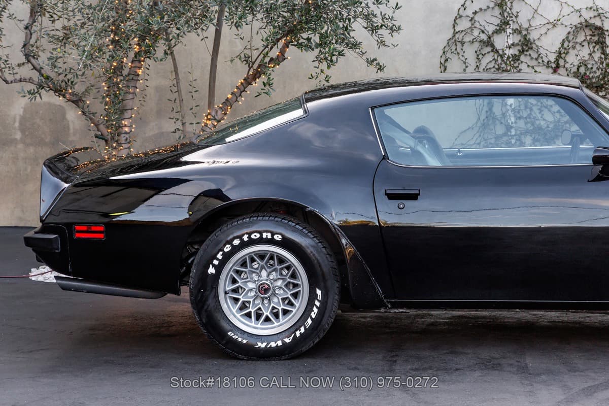 1974 Pontiac Firebird Trans Am thumbnail 10