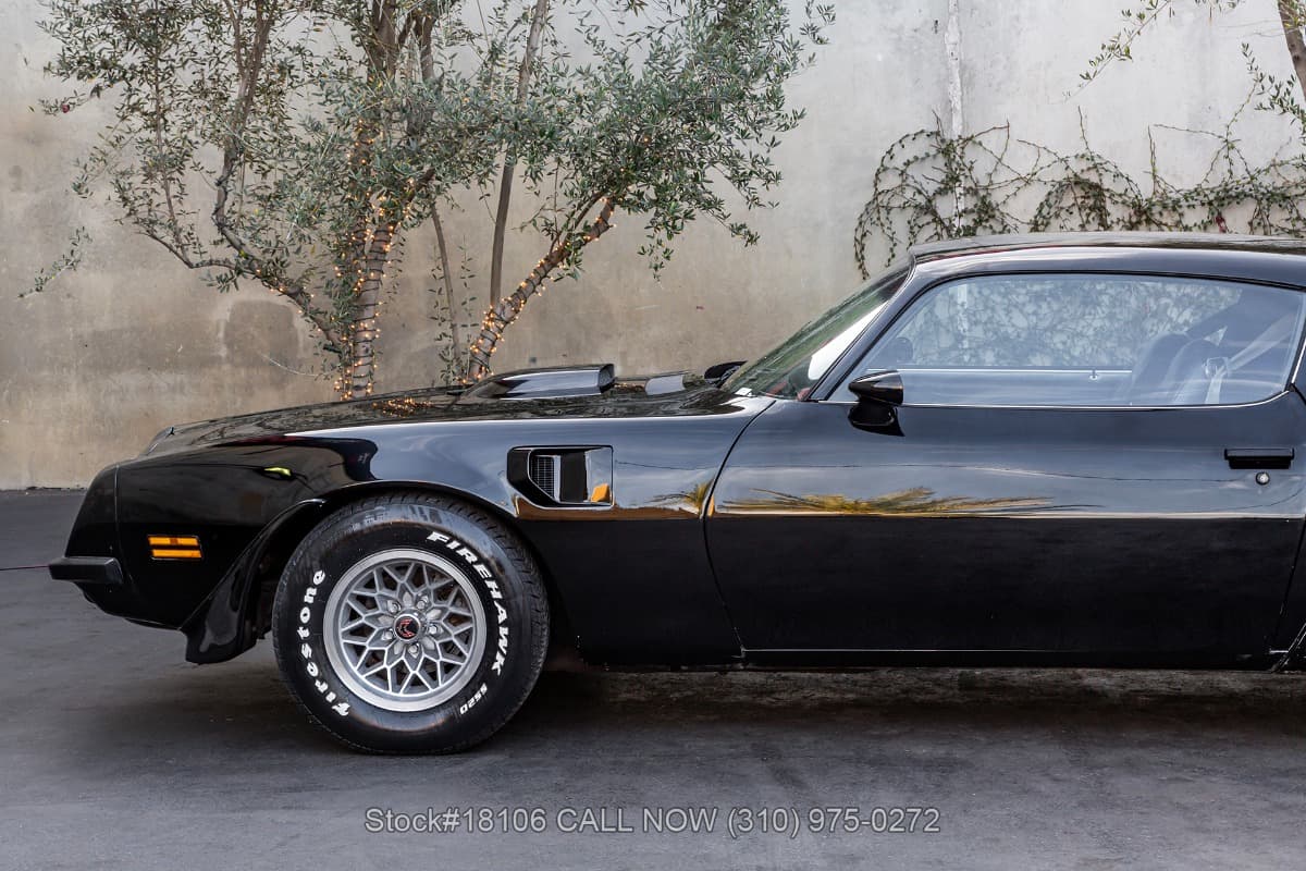 1974 Pontiac Firebird Trans Am thumbnail 11