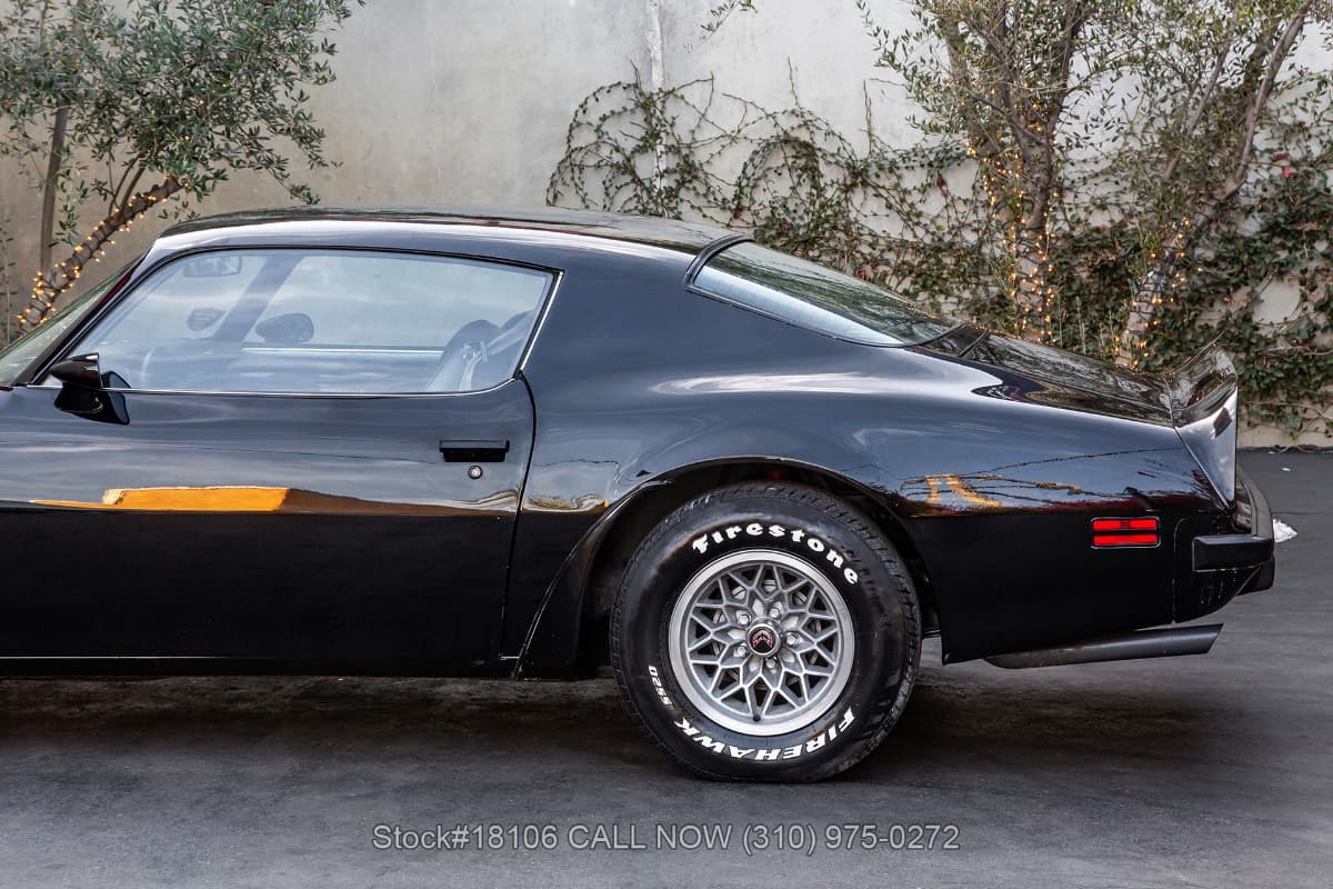 1974 Pontiac Firebird Trans Am thumbnail 12